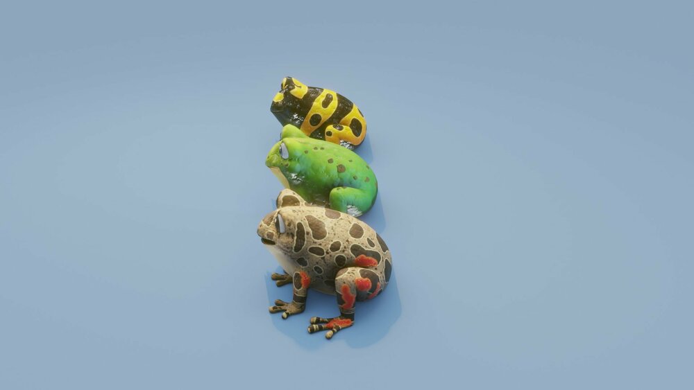 Cartoon Frog Animated 3D Models 