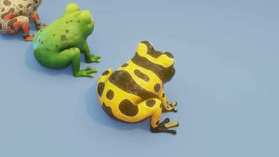 Cartoon Frog Animated 3D Models 