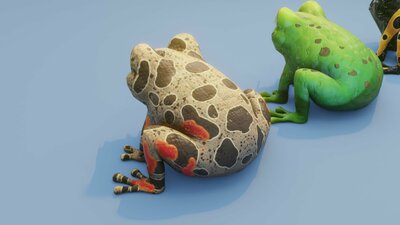 Cartoon Frog Animated 3D Models 