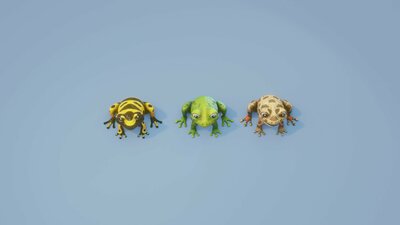 Cartoon Frog Animated 3D Models 