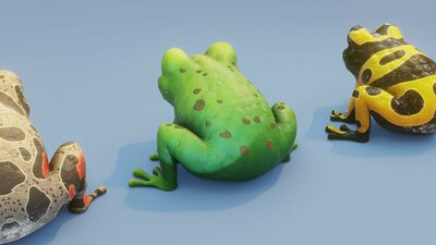 Cartoon Frog Animated 3D Models 