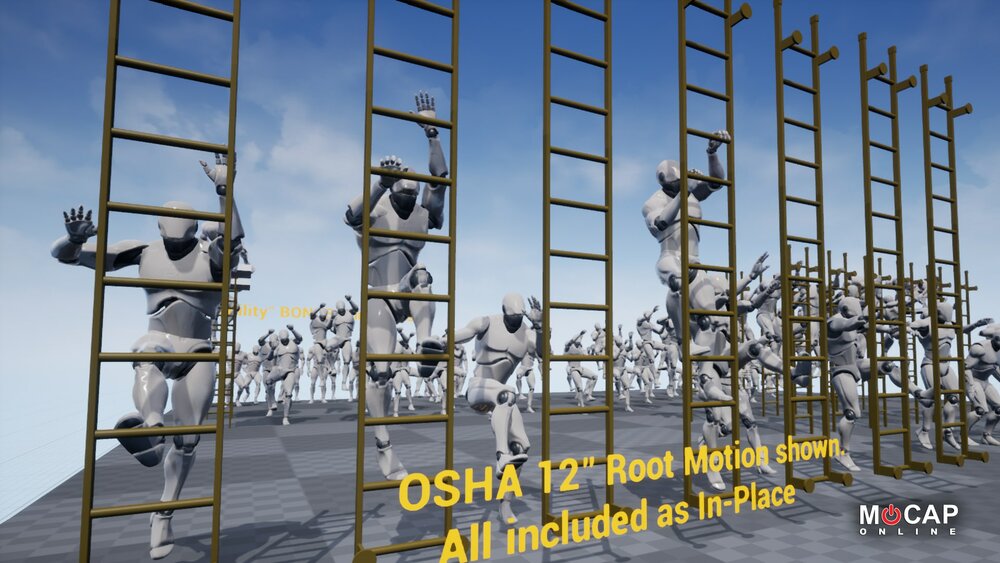 Ladder OSHA 12 - Mocap Pack 