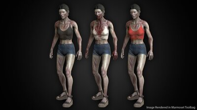 Female Zombie Bundle 