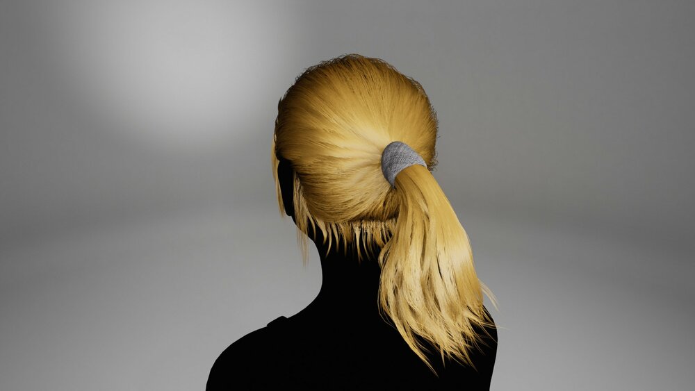 BasicGroupedGroomHairPonytail 