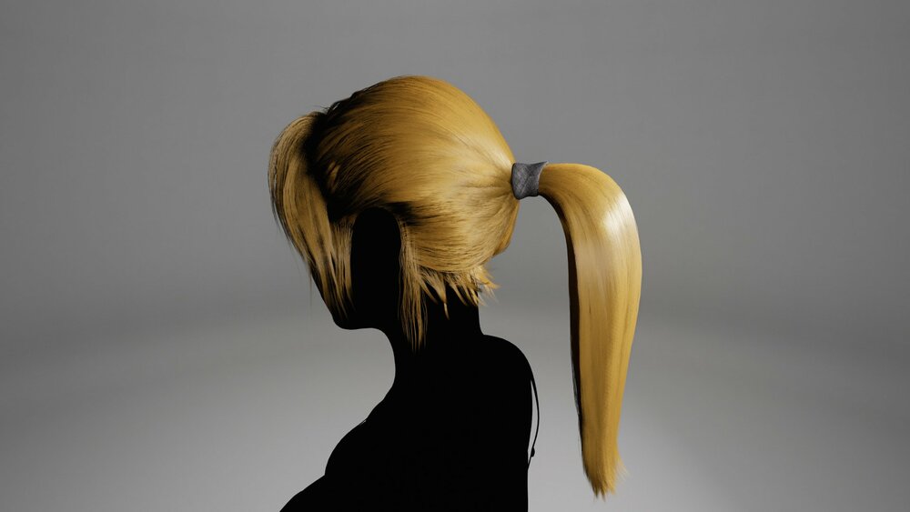 BasicGroupedGroomHairPonytail 