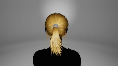 BasicGroupedGroomHairPonytail 