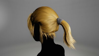 BasicGroupedGroomHairPonytail 