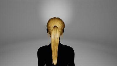 BasicGroupedGroomHairPonytail 