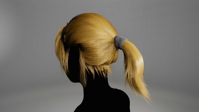 BasicGroupedGroomHairPonytail 