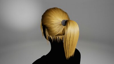 BasicGroupedGroomHairPonytail 