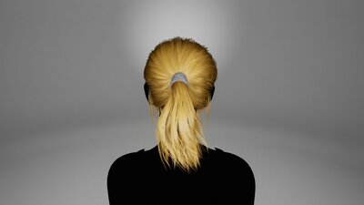 BasicGroupedGroomHairPonytail 