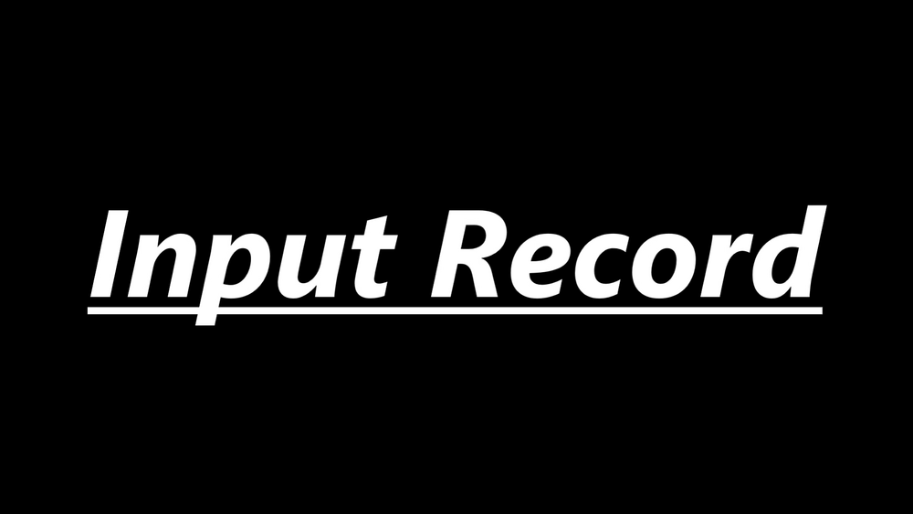 Input Record (Dev Tool) 