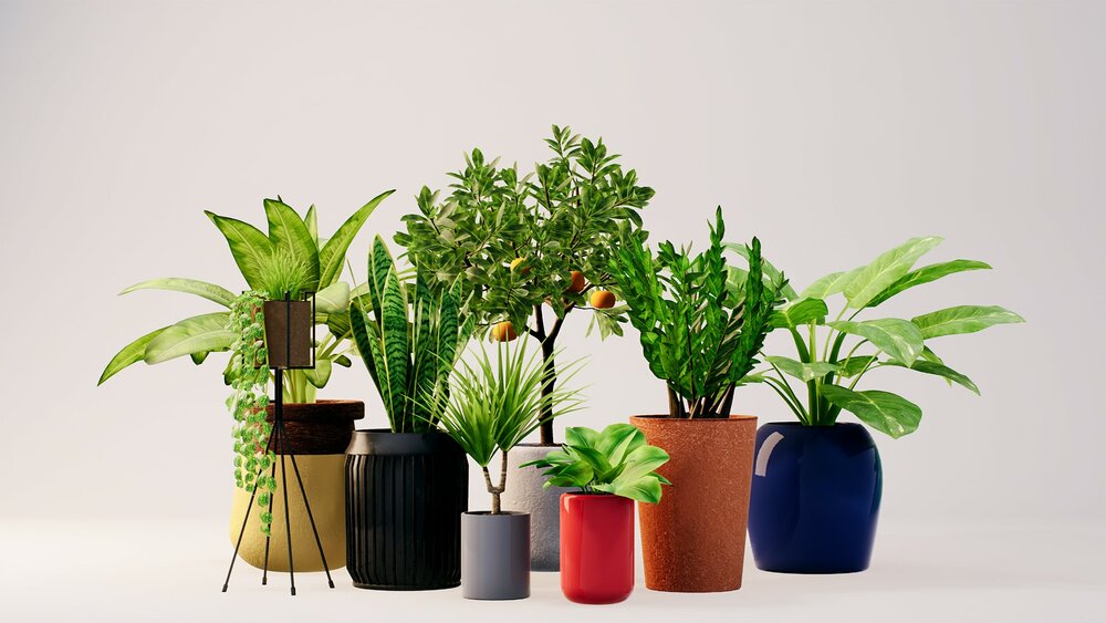 PlantDecorVol.3 