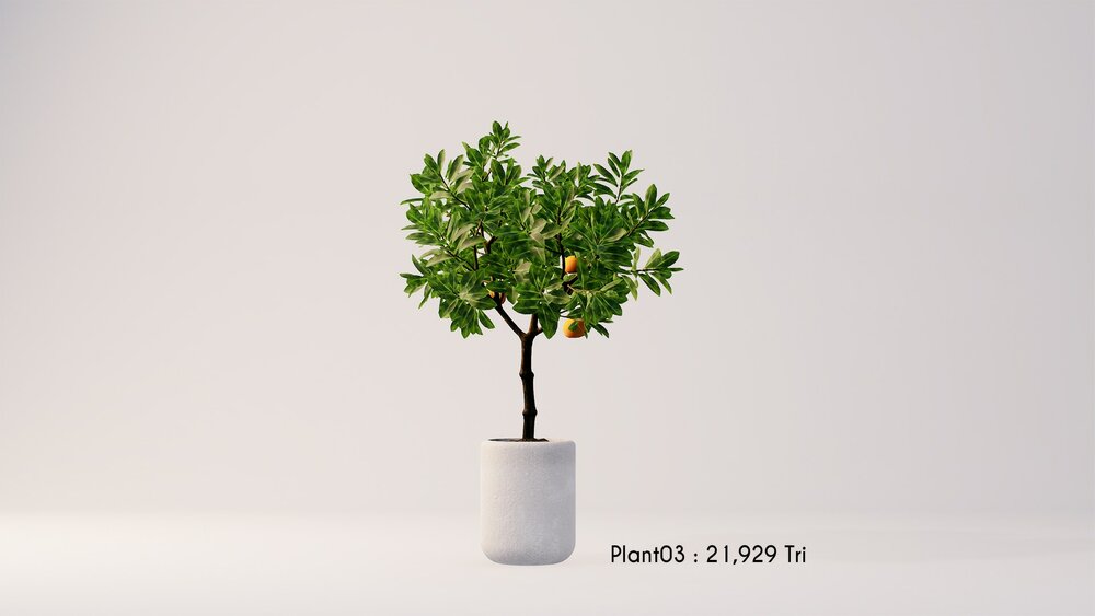 PlantDecorVol.3 