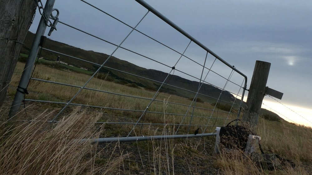 Wind Through Metal Gates 