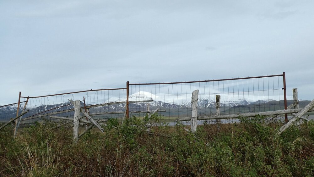 Wind Through Metal Gates 