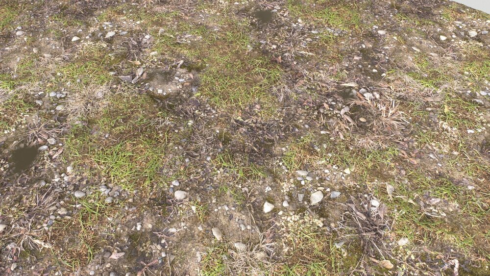 Forest Terrain Textures Pack 3 