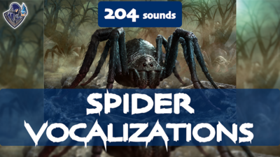 Spider Vocalizations