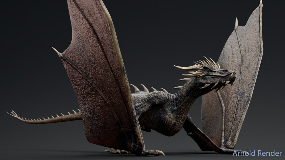 Wyvern Type Dragon 1 