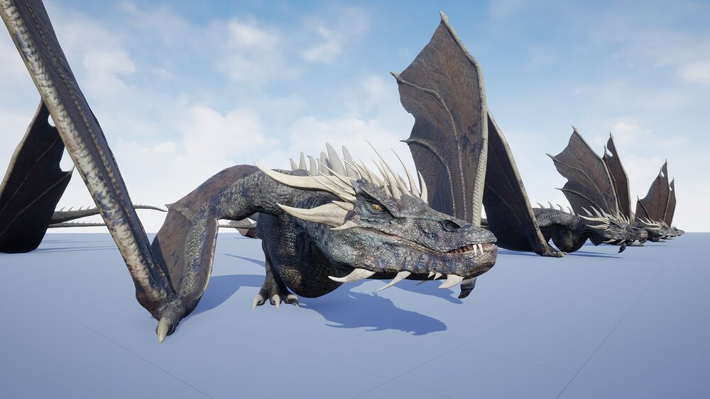 Wyvern Type Dragon 1 