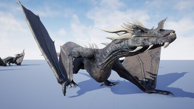 Wyvern Type Dragon 1 