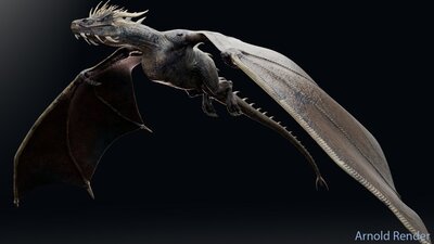 Wyvern Type Dragon 1 