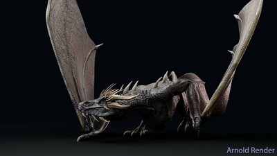 Wyvern Type Dragon 1 