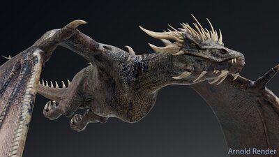 Wyvern Type Dragon 1 