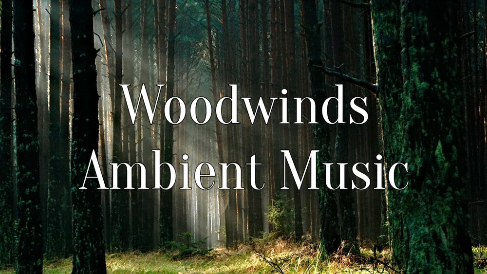 Woodwinds Ambient Music 