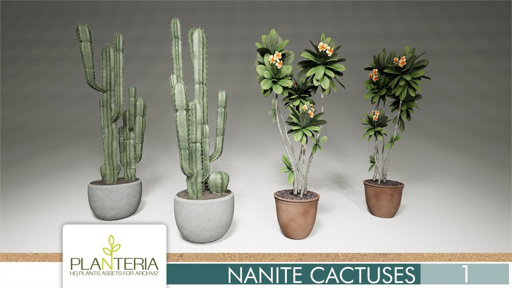 Nanite Cactuses Vol. 1 