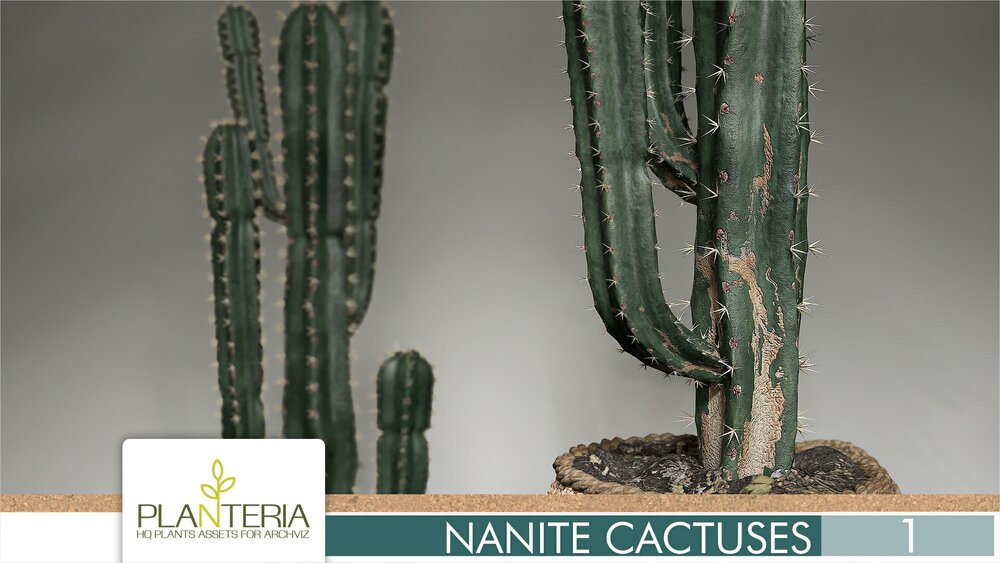 Nanite Cactuses Vol. 1 