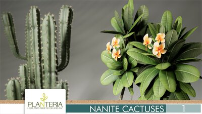 Nanite Cactuses Vol. 1 