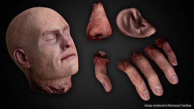 Human Remains ( Rigged ) 