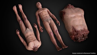 Human Remains ( Rigged ) 