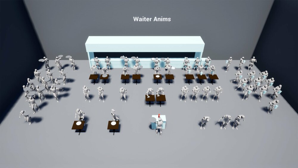 Waiter Anims 