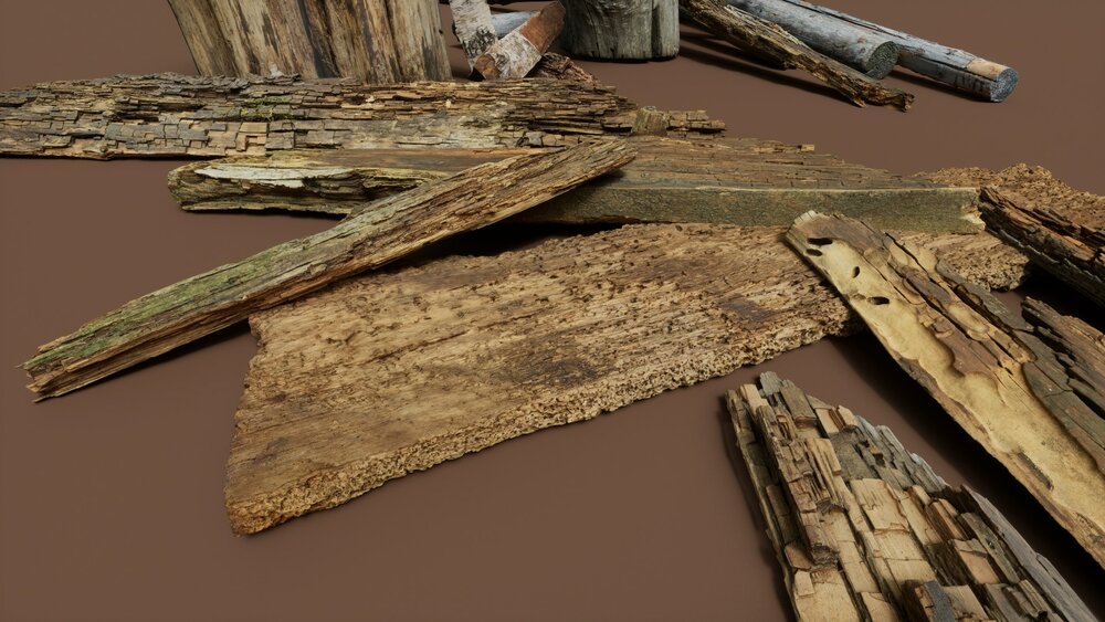 Rotten Wood 