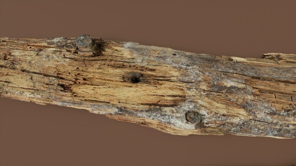 Rotten Wood 