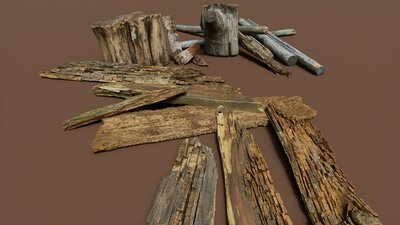 Rotten Wood 