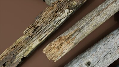 Rotten Wood 