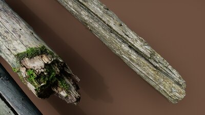 Rotten Wood 