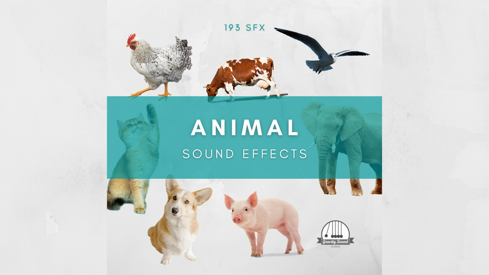 Animal Sound Effects 