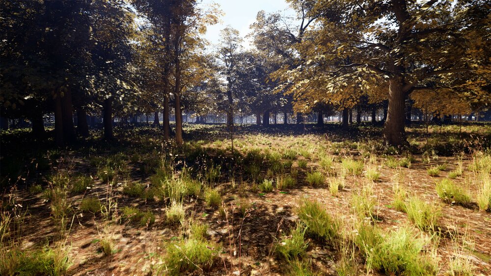 Oak Trees Pack 8k 