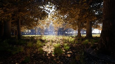 Oak Trees Pack 8k 