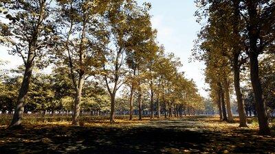 Oak Trees Pack 8k 