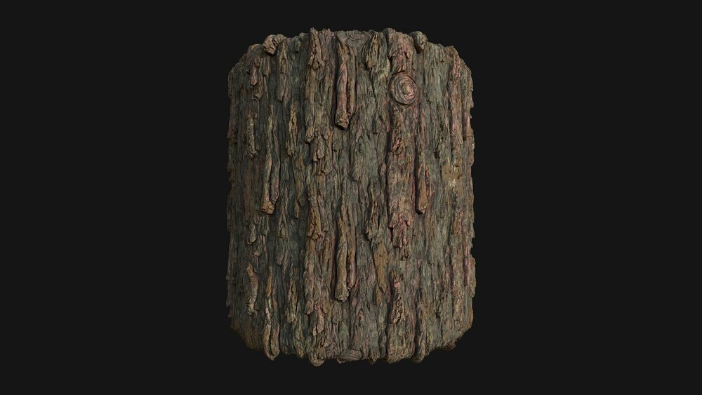 Pack Forest Texture 