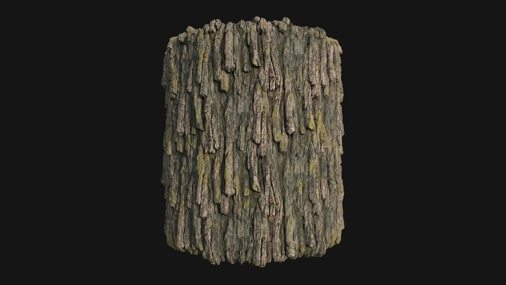 Pack Forest Texture 