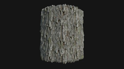 Pack Forest Texture 