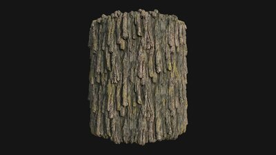 Pack Forest Texture 