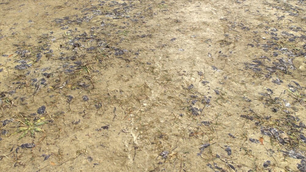 Dirty and Muddy Terrain Pack 2 