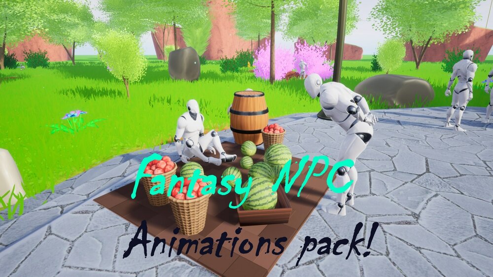 Fantasy NPC animations Pack. 